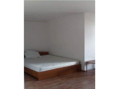 Apartament 1 camera, 45 mp, Marasti